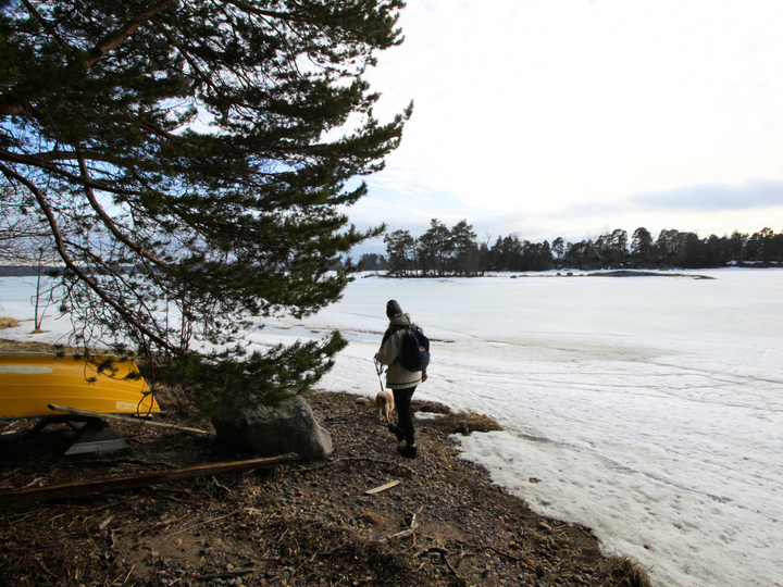 Baby-Carrying March Hike in Helsinki: Trash-Picking and Signs of Spring in Disputed Stansvik Forest